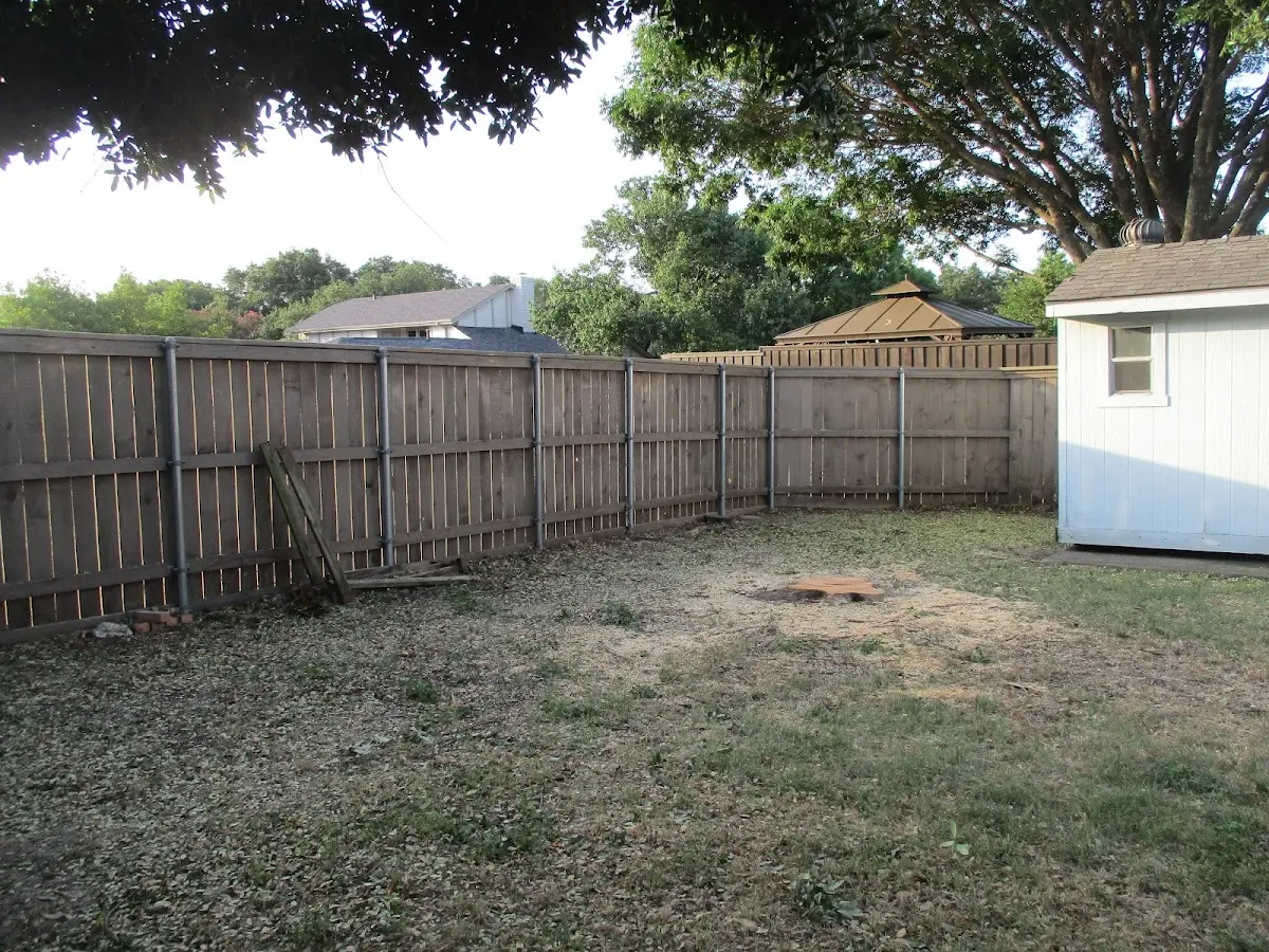 Cleared yard after professional tree removal in North Granville