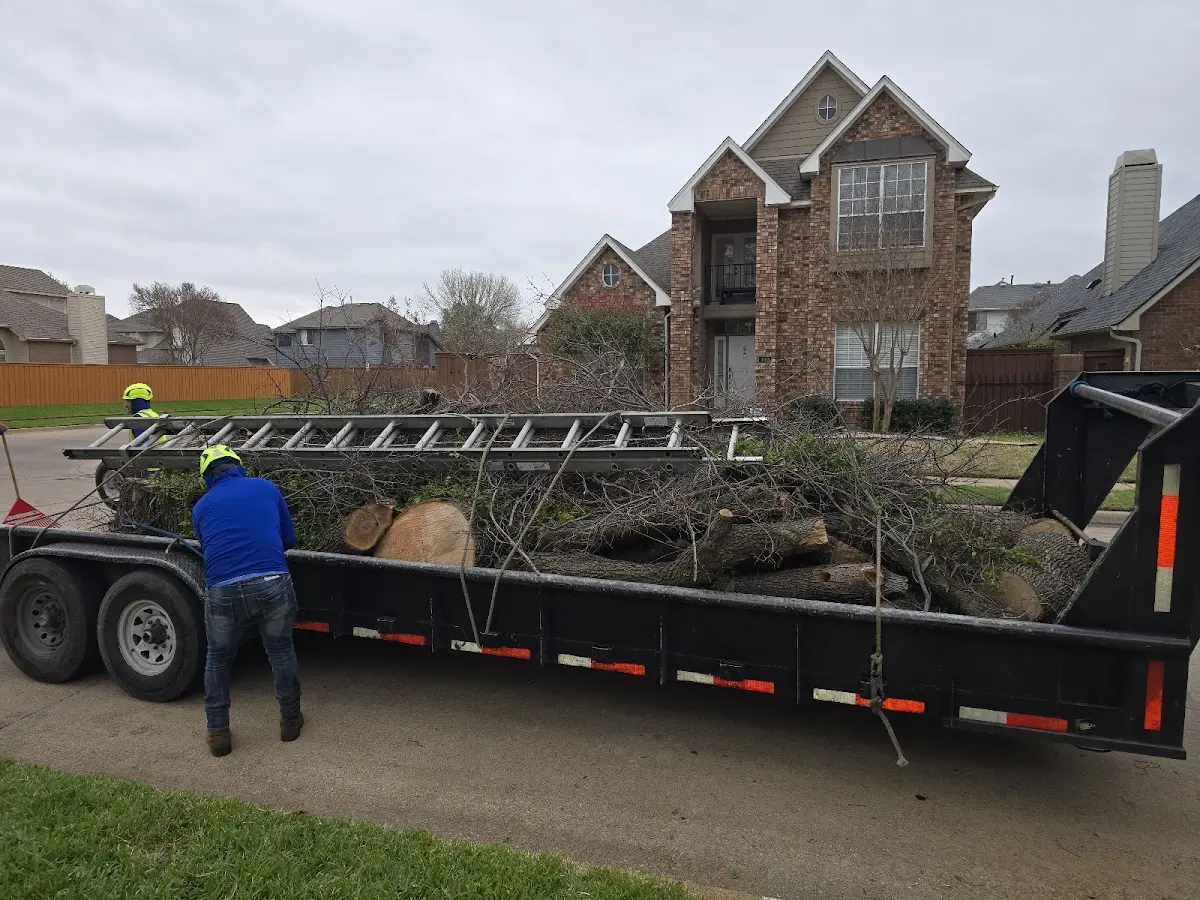 Expert Lot Clearing with proper safety equipment in North Granville